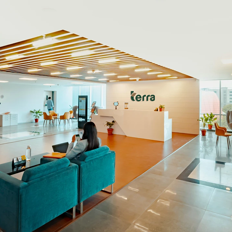 TERRA 위치