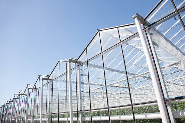 Smart Farm Background